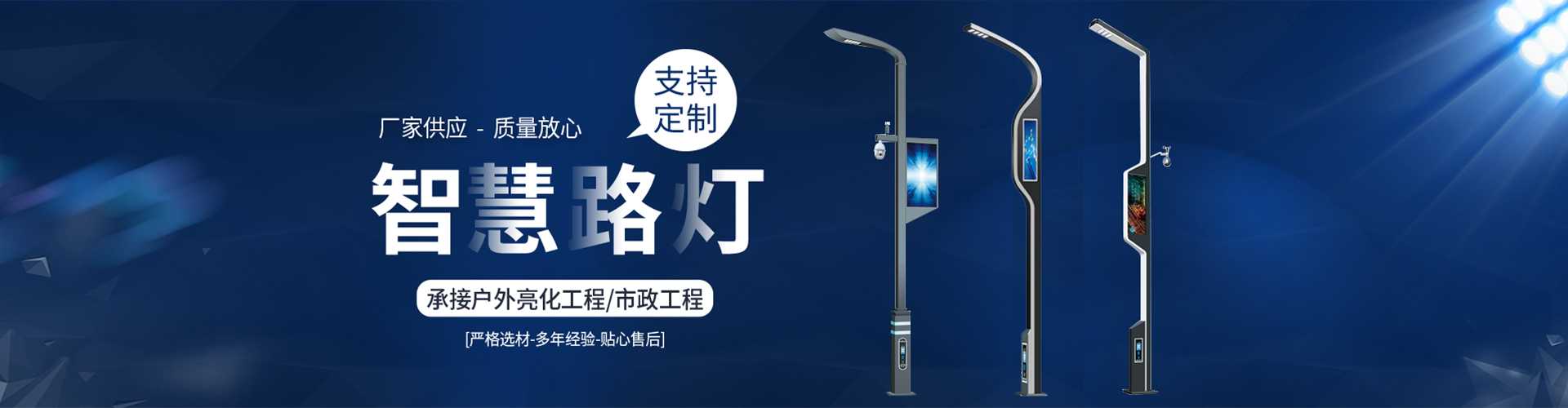 陵城区太阳能路灯定制厂家