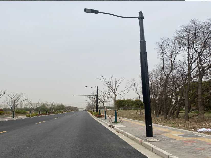 陵城区上海综合杆 太阳能路灯工程